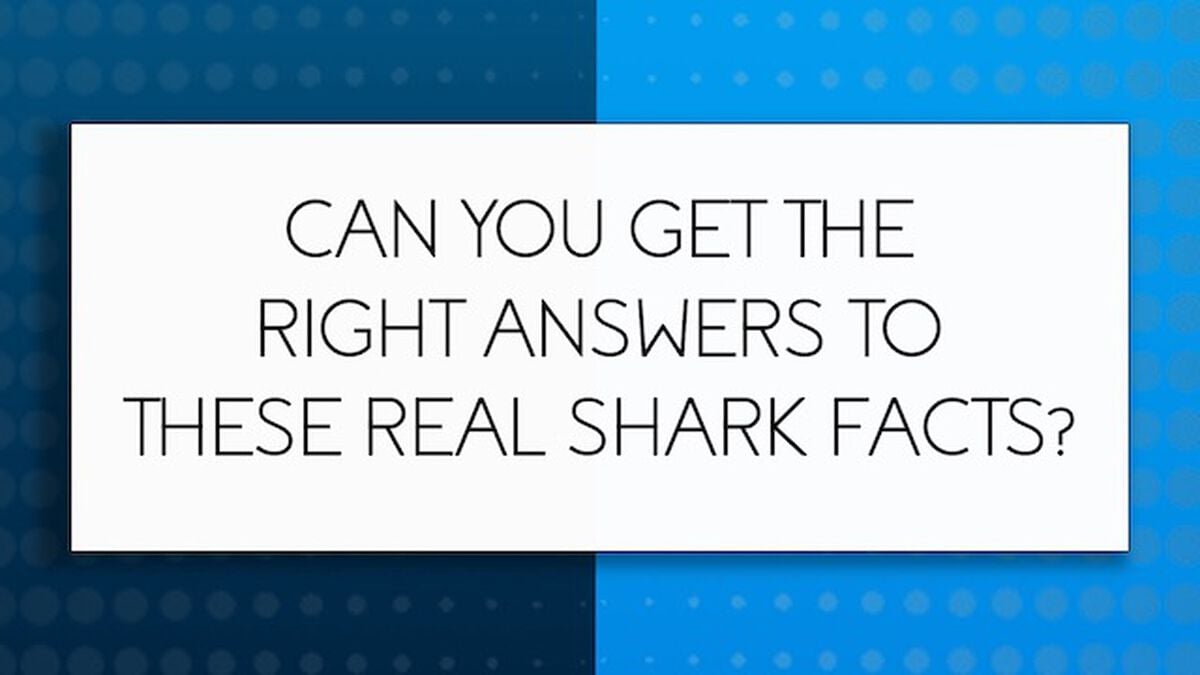Shark Quiz image number null